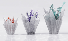 Crystal Vase Collection | 2023
