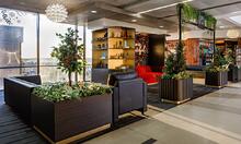 Pure Leaf PHL Airport Holiday Lounge | 2022